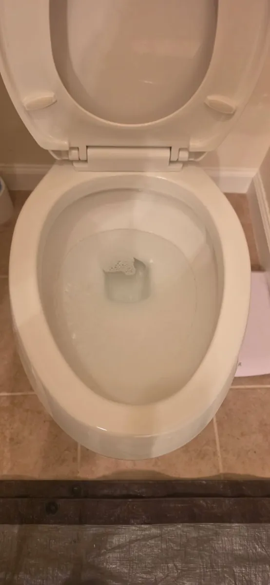 The same Kentlands toilet after being augered, pulled and reset, with clean water in the bowl