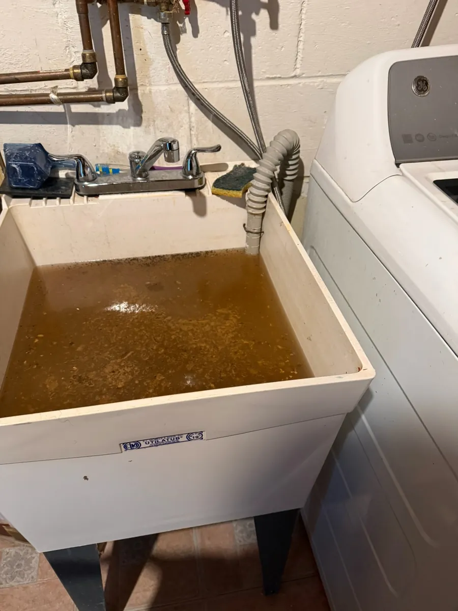 Basement utility laundry tub filled with murky standing water next to a washing machine